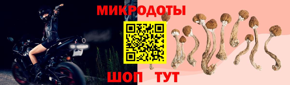 где продают наркотики  Псилоцибиновые грибы Cubensis  Вход с VPN  Галлюциногенные грибы прущие грибы  Туймазы 